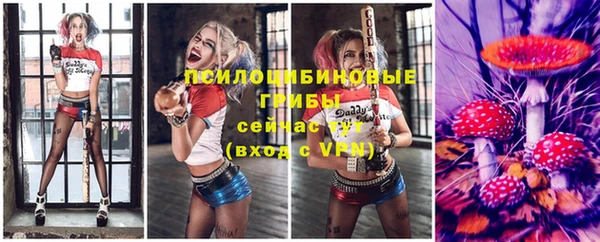 ешки Алзамай