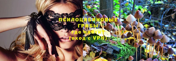 ешки Алзамай