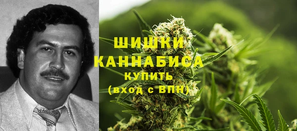 ешки Алзамай