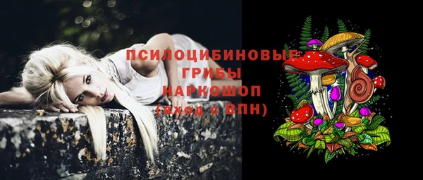 мдпв Лиски