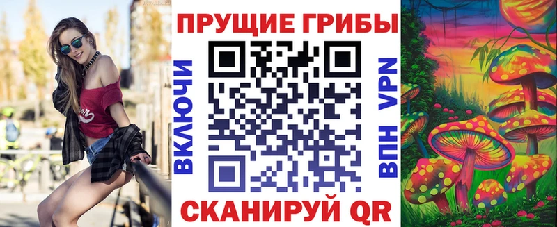 закладка Фатеж Псилоцибиновые грибы GOLDEN TEACHER